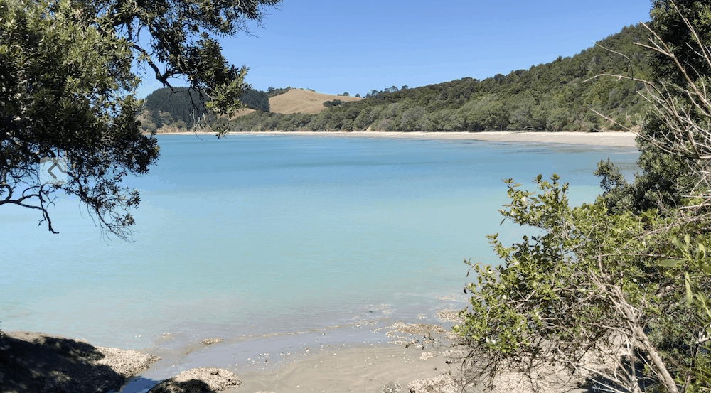 First look at Tawhitokino Beach