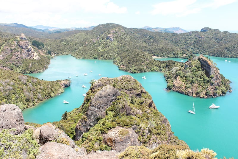 Nearby walk to the best beaches in Northland