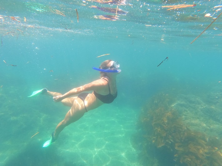 Snorkeling at one of the best beaches in Northland