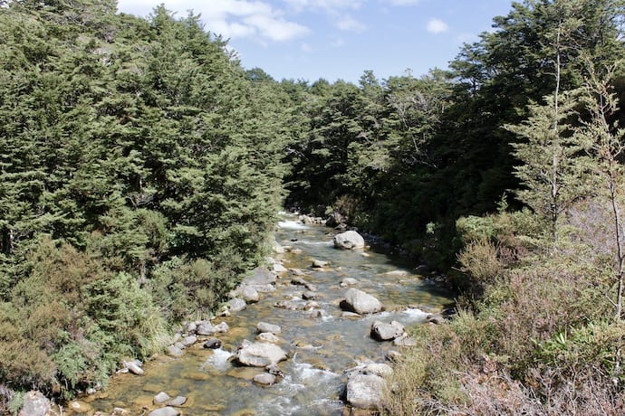 The river leading to Tawhai Falls