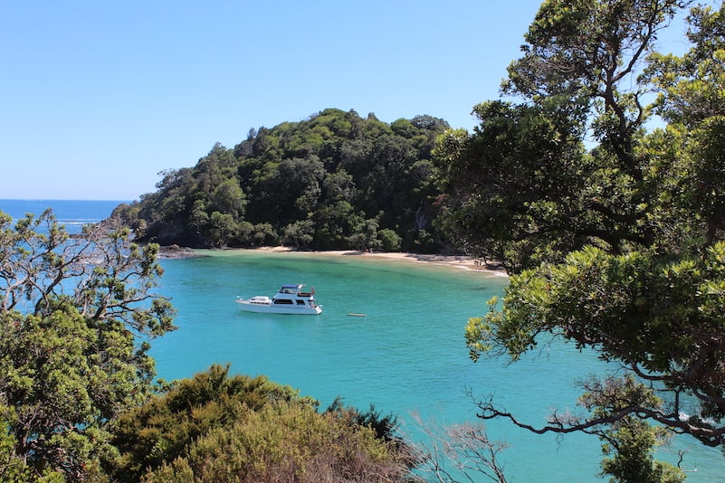 Whale bay is one of the best Northland beaches