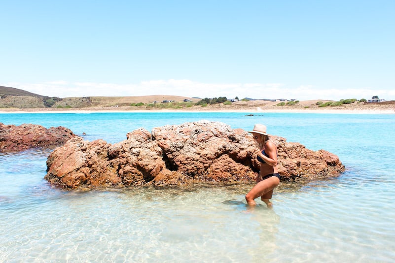 The list of the best beaches in Northland includes Maitai Bay 