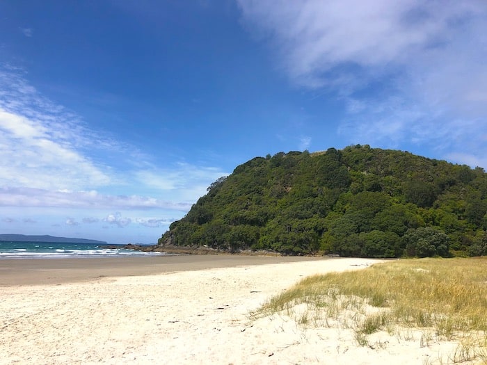 Matarangi beach in the Coromandel