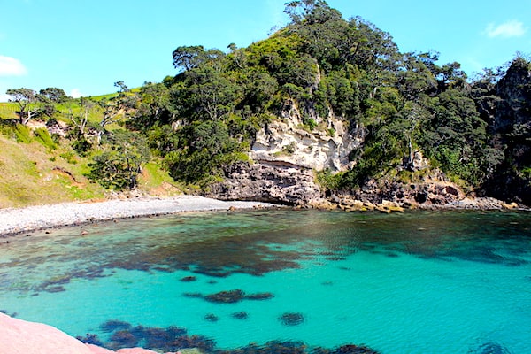 Clear water at Crayfish Bay