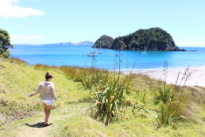 14 of the Best Things to do in Paihia