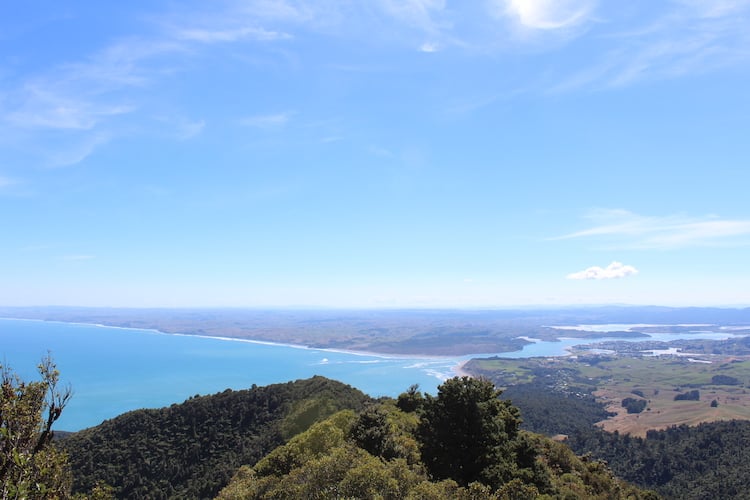 Looking out over Raglan from the Mt Karioi walk