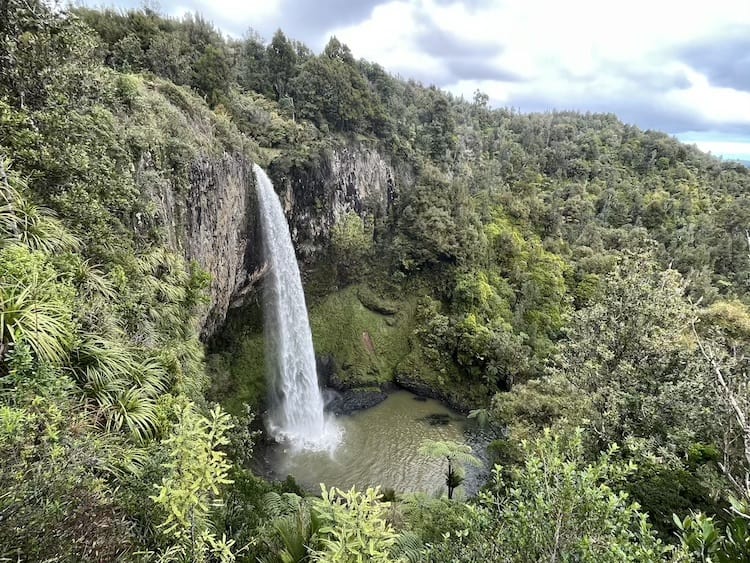 Lookout over Bridal Veil Falls walk in Raglan