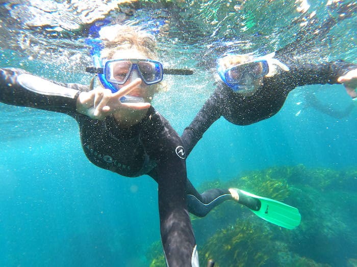 Snorkelling is a great thing to do with family in Hahei