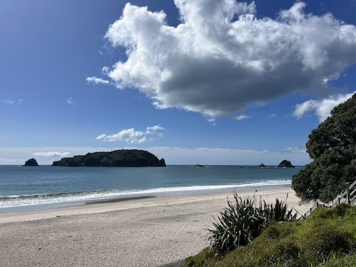 The beautiful Hahei Beach