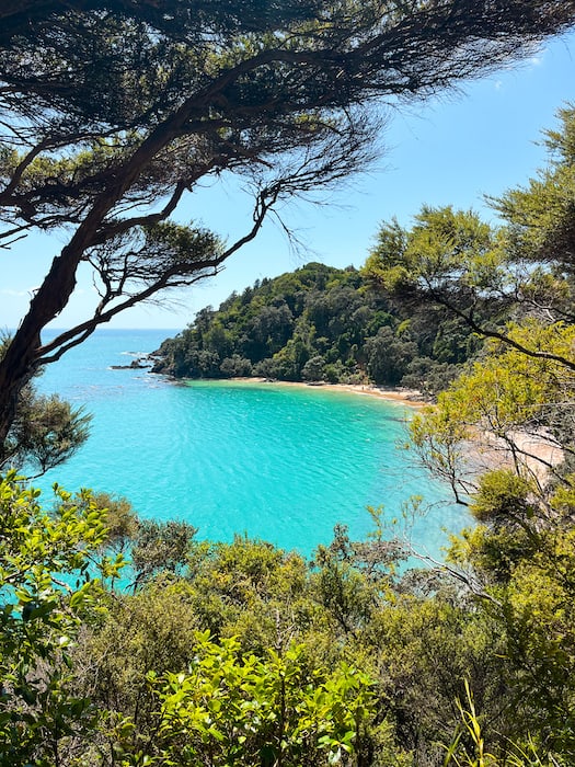 Whale Bay – Ultimate Guide to Northland’s Must See Beach