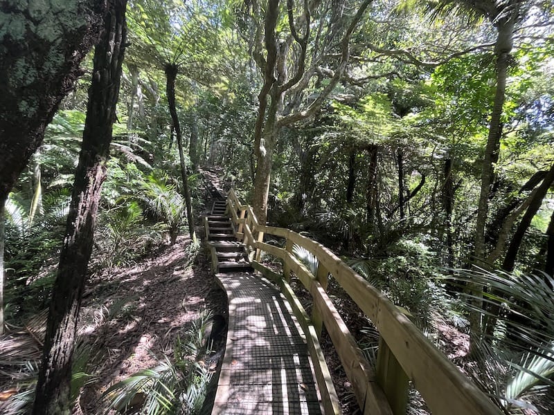 The wooden stairs leading up to the lookout 