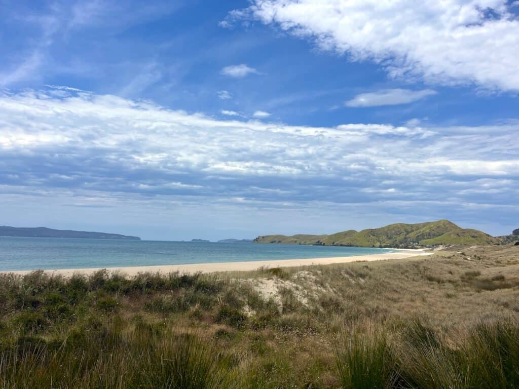 Views of the sand and water at Otama Beach from the grassy dunes