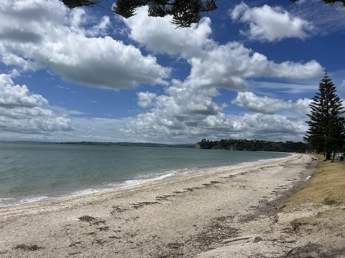 Eastern Beach with a small grass area and shelly beach in Auckland