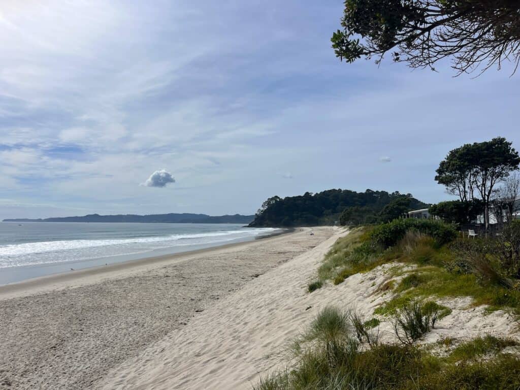 The white sand and blue water of Whangapoua Beach