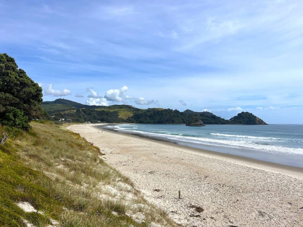 A view of Whangapoua Beach from the sand dunes 