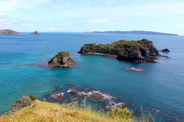 Opito Bay: All You Need to Know About This Coromandel Favourite