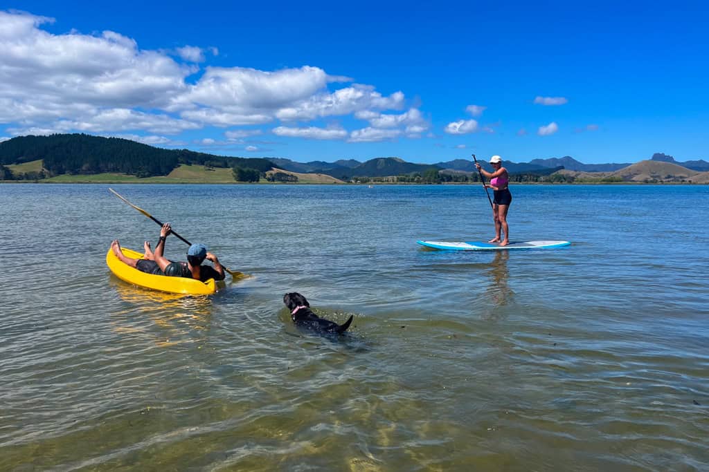 People kayaking and paddle boarding in an estuary.