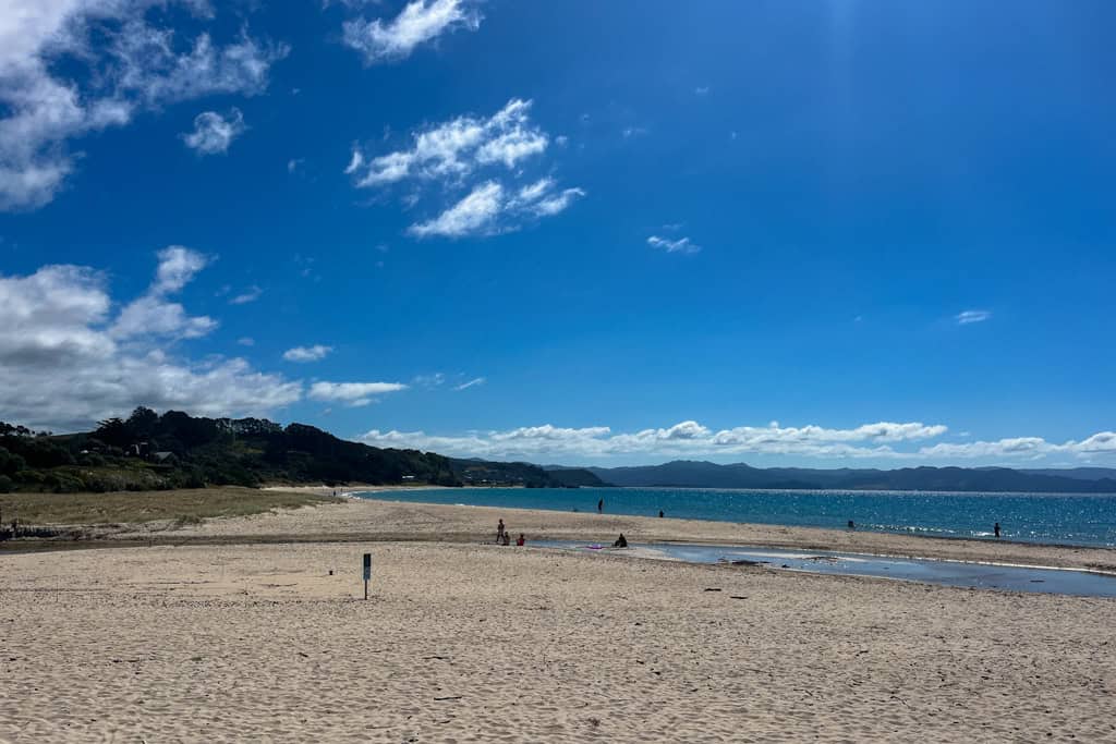 The white sand shining on a sunny day at Kuaotunu beach.