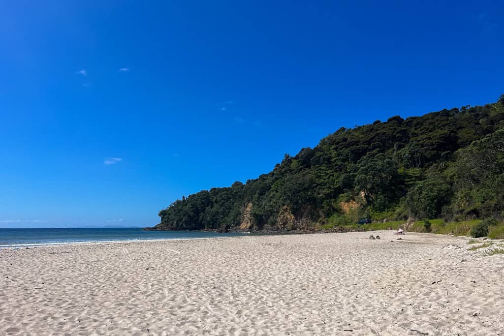 White sand covers the beach in Kuaotunu.