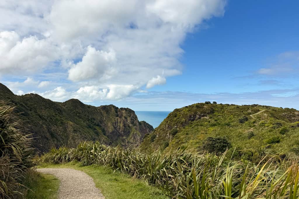 A gravel track surrounded by green fauna over looking the ocean.