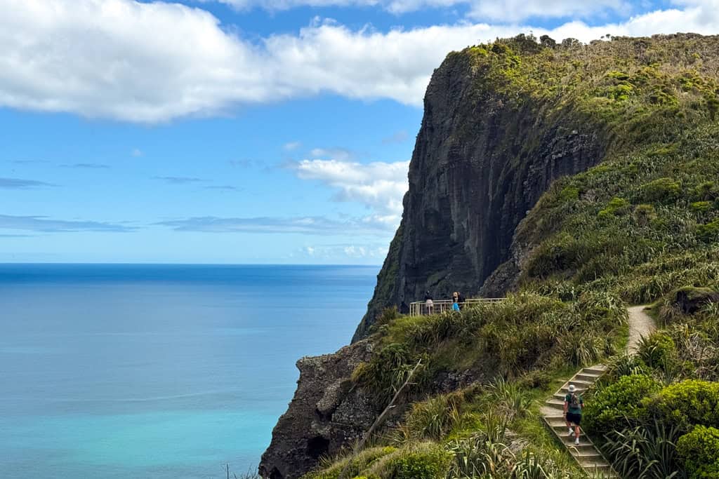 A grassy cliff towing over the blue ocean.