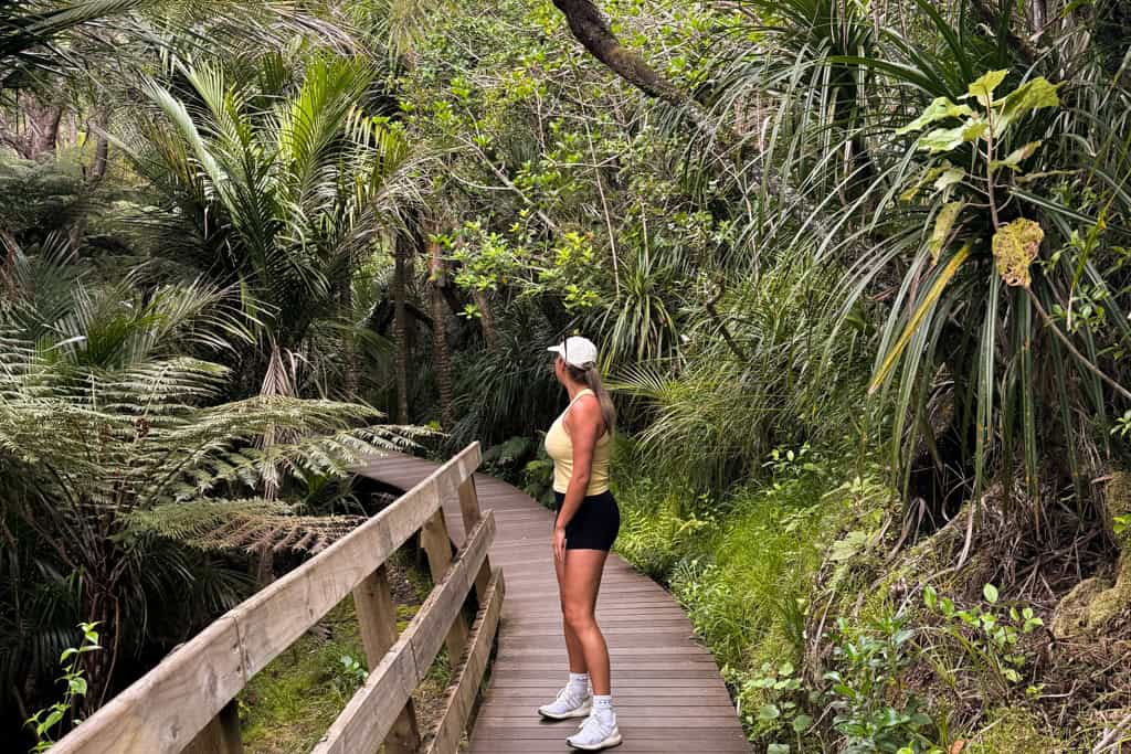 Woman walking along the wooden boardwalk track.