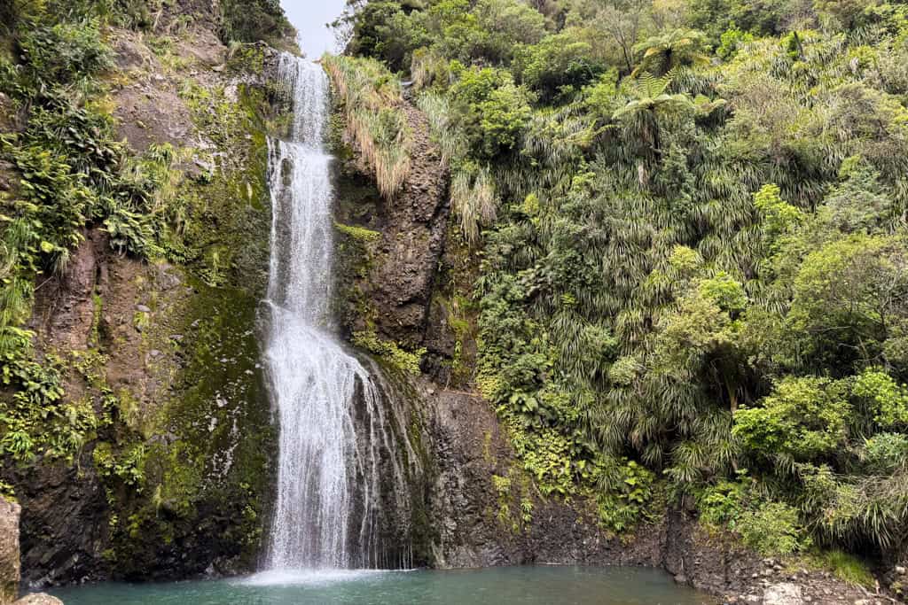 Kitekite Falls surrounded by the native bush.