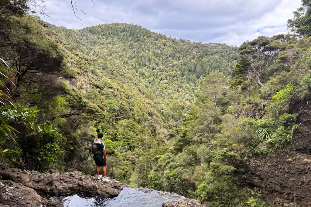 Man standing on the edge of Kitekite Falls looking out to the native forest in front of him.