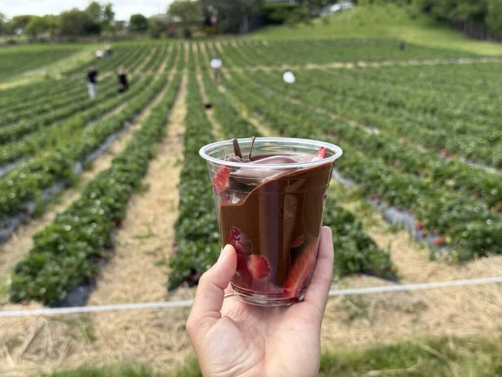 A cup filled with strawberries and melted chocolate. 