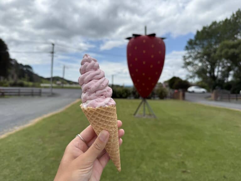 Person holding an ice cream at a strawberry farm in Auckland.