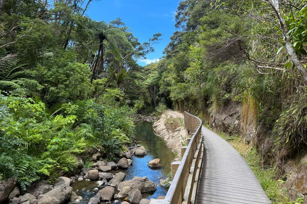 Wooden boardwalk beside a stream in the native bush on the way to Karamatura Falls.