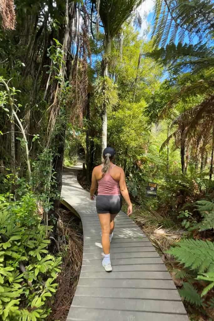 Woman walking along the boardwalk in the lush native bush.