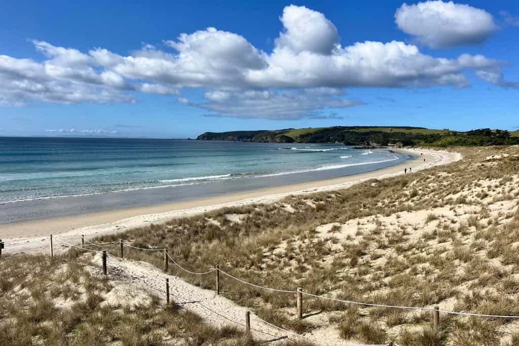 View over the dunes towards Tawharanui Beach.