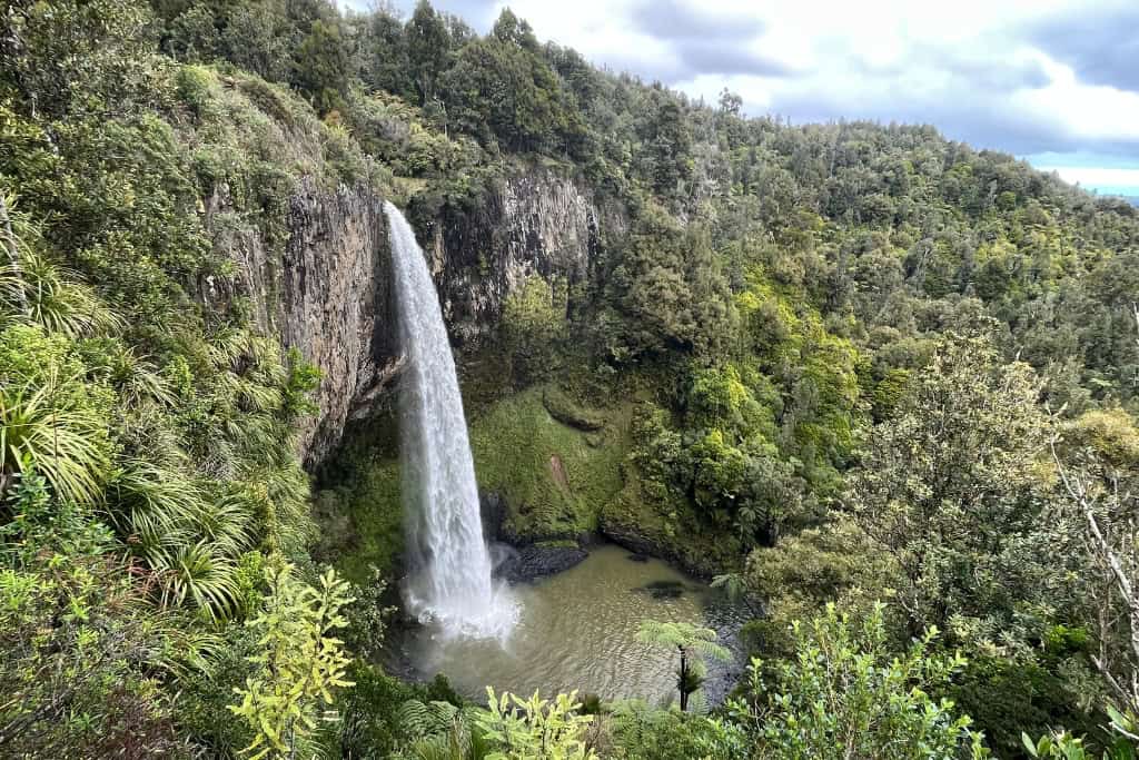Bridal Veil falls surrounded by native bush.