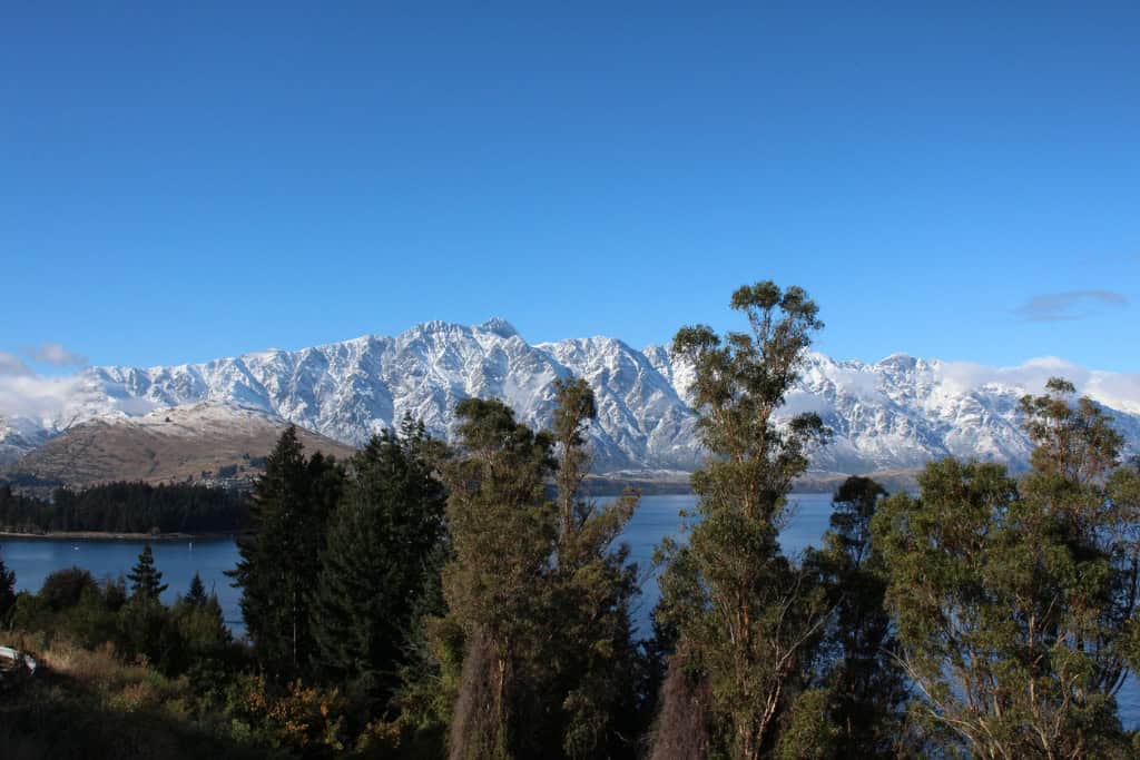 Snowy mountains peaking through the trees in Queenstown.