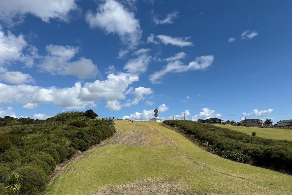 The open paddock along the walk on a sunny day.