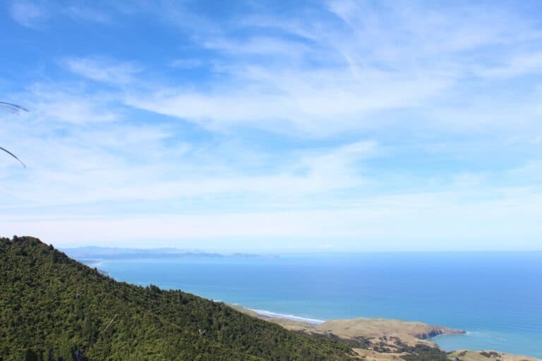Native bush meets the sea on the Mount Karioi Track.