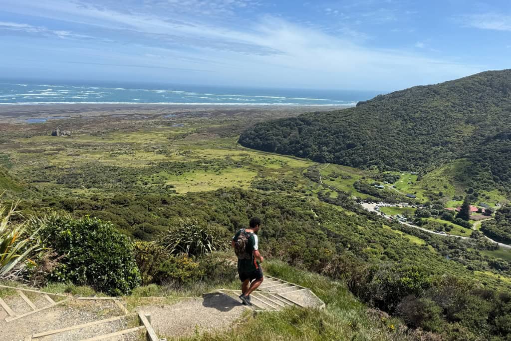 Man walking down the steps on the Ōmanawawui track towards the carpark.