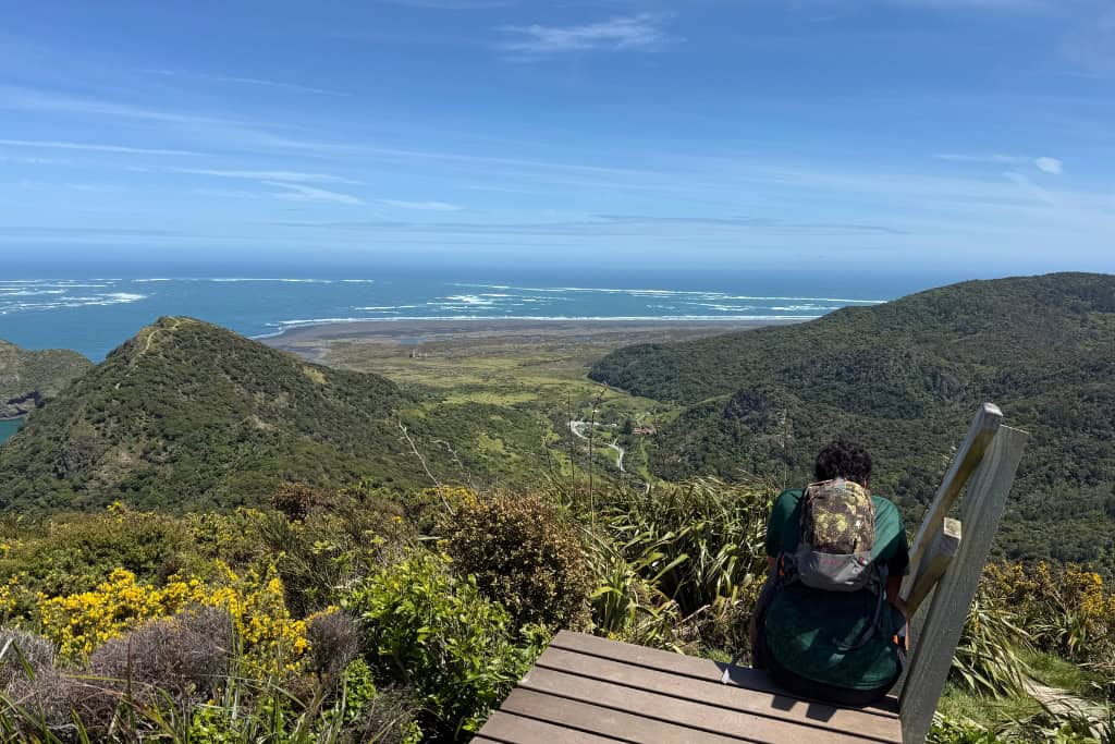 Man sitting on the stairs at the top of the Ōmanawanui Track looking out towards the ocean.
