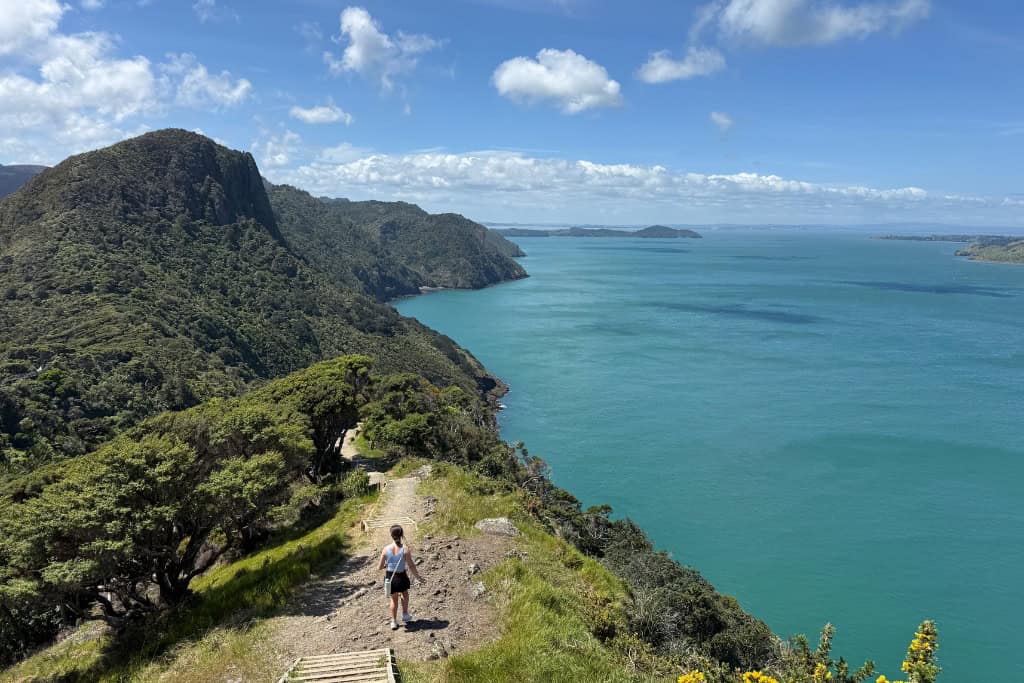 Woman walking down the Ōmanawanui track with the hills and ocean views in front of her.