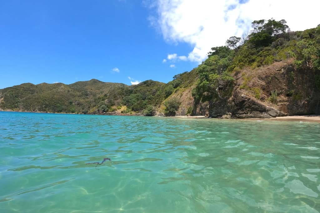 The turquoise water of Oke Bay.