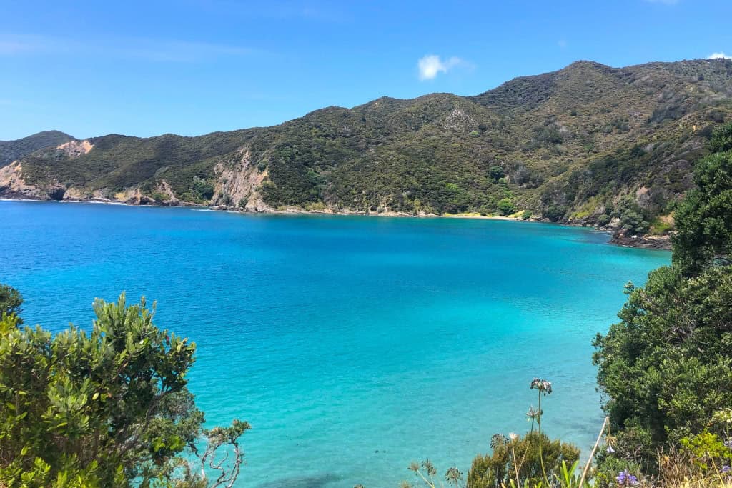 The view of the blue water at Oke Bay from the walk over the hill.