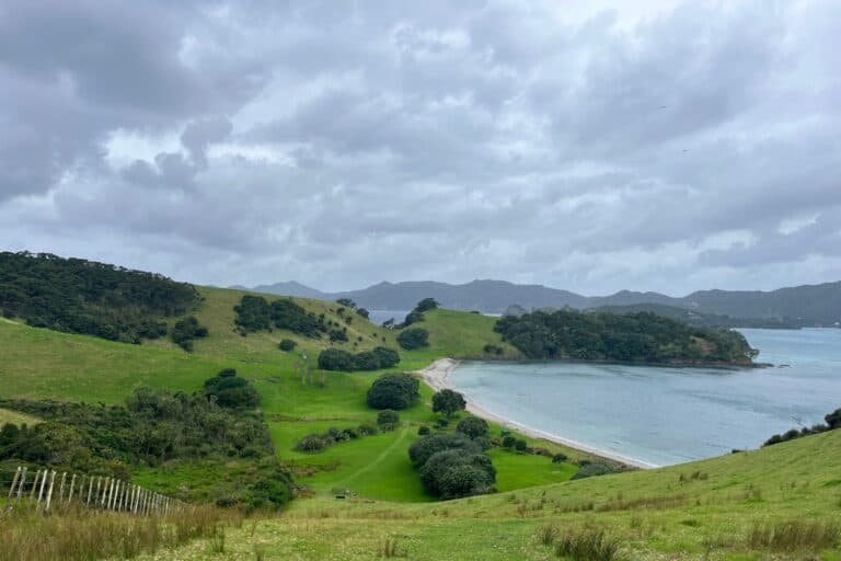 The lush green Urupukapuka Island on a cloudy day.