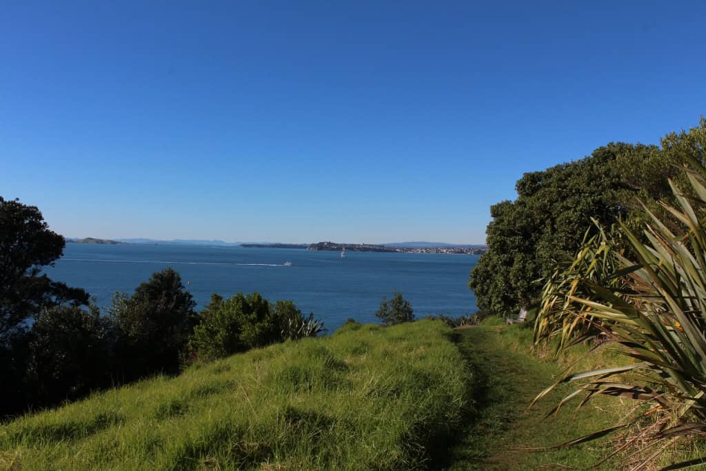 The grassy track around the North Head walk in Auckland.