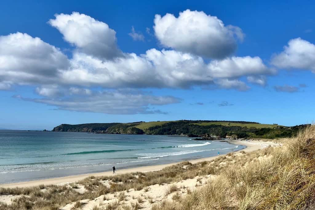 A sunny day at the beach in Tawharanui Regional Park.
