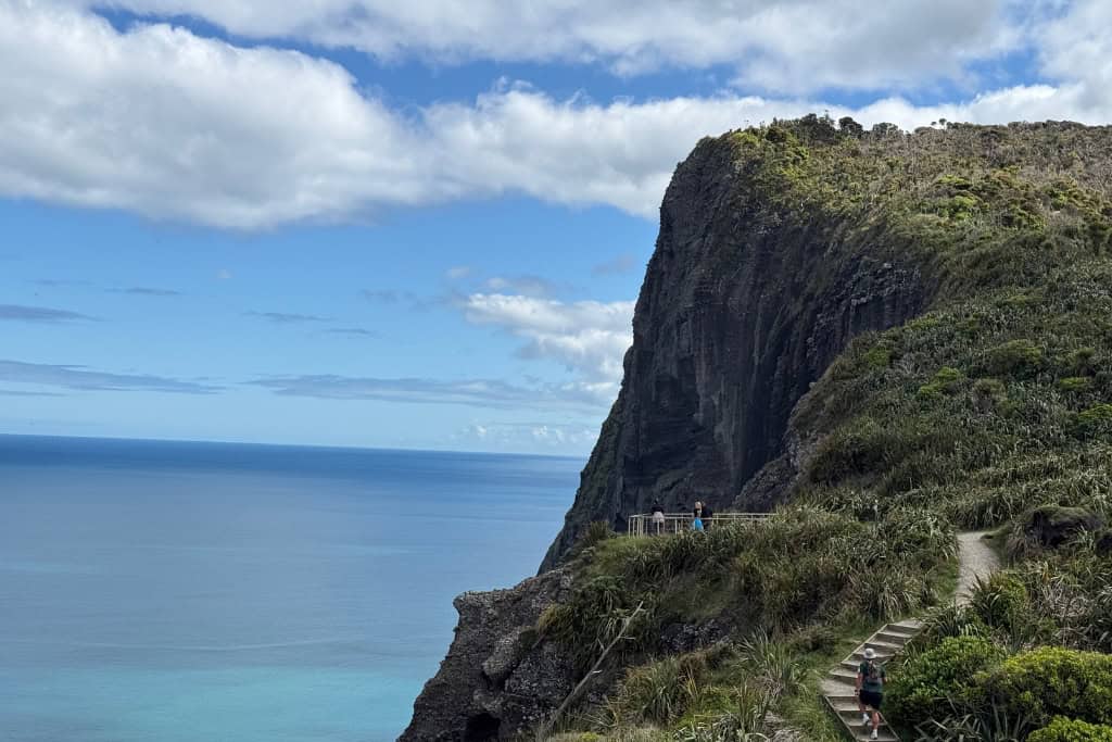 The towing cliffs on the Mercer Bay loop track, one of the best walks in Auckland.