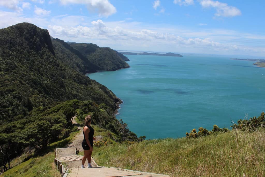 Woman standing on the stairs at the Omanawanui track looking out to sea.