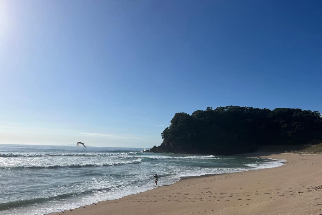 Person playing in the waves at Onemana Beach.