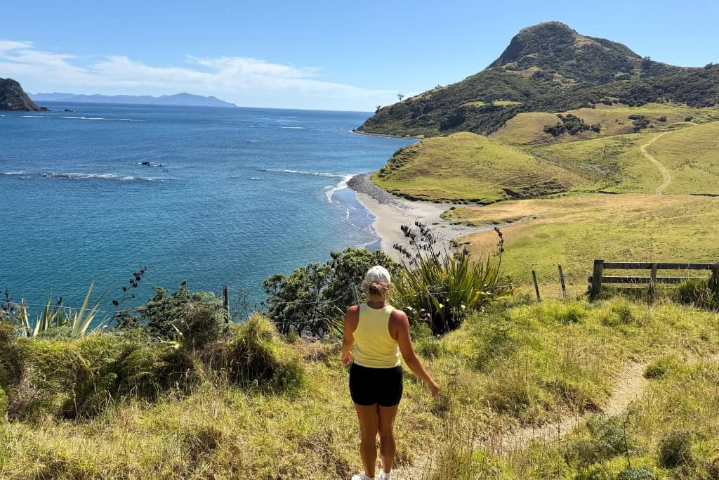 Woman standing at the view point near Fletcher Bay, looking out at the ocean.