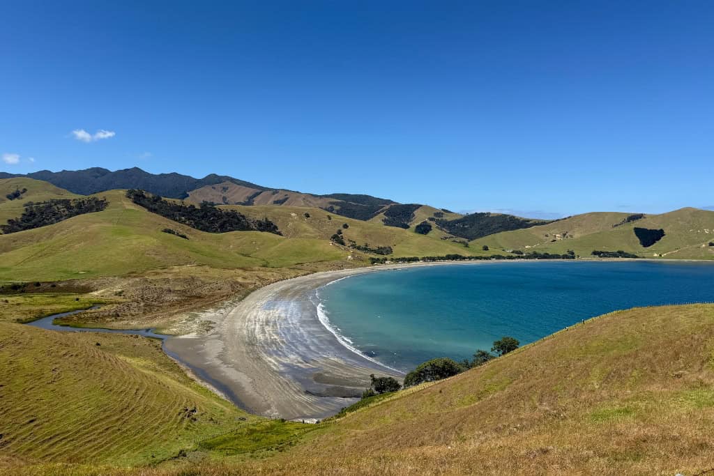 The blue water at Port Jackson surrounded by green hills.